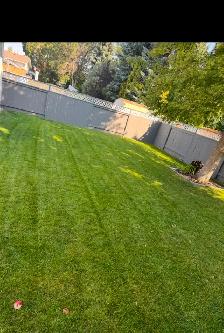 Lawn care services - Photo 2