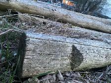 reclaimed large scale lumber - Photo 3