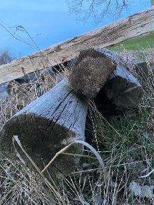 reclaimed large scale lumber - Photo 4