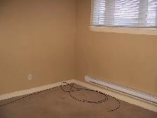 two bedroom basement suite - Photo 6