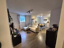 3 1/2 - 783 5e avenue, Pointe-aux-Trembles, H1B4M1 -1er juillet - Photo 5
