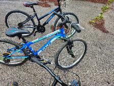Kids Mountain Bikes For Sale - Photo 6