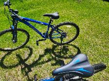 Boys Mountain Bikes For Sale - Photo 8