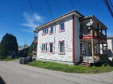 Duplex à revenus NEGO  – Plusieurs rénovations majeures - Photo 2