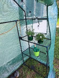 GREENHOUSE - Photo 2