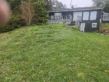 Property Cleanup Before Selling — Get More Value, Fre - Photo 4