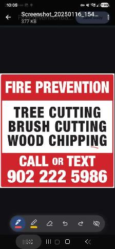 Property Cleanup Before Selling — Get More Value, Fre - Photo 7