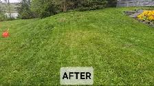 Property Cleanup Before Selling — Get More Value, Free Quote - Photo 2