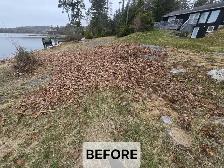 Property Cleanup Before Selling — Get More Value, Free Quote - Photo 3