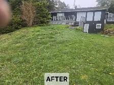 Property Cleanup Before Selling — Get More Value, Free Quote - Photo 4