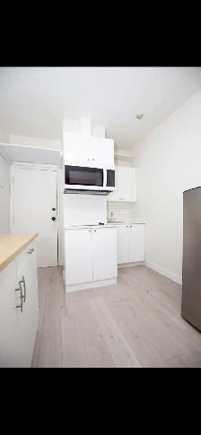 Furnished Studio Downtown - Photo 4