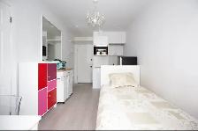 Furnished Studio Downtown - Photo 5