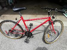 Firebird Supercycle 26 inch 6 speed bike - Photo 3