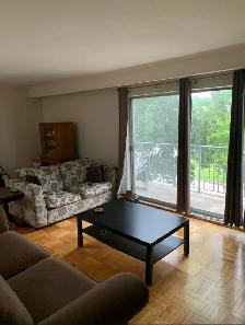 Room Available in Large 3-Bedroom—$850/Month Inclusive - Photo 6