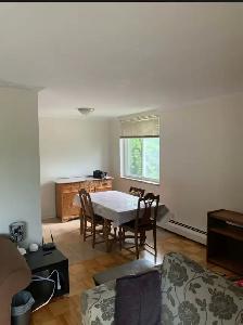 Room Available in Large 3-Bedroom—$850/Month Inclusive - Photo 7