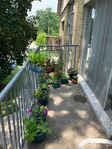 Room Available in Large 3-Bedroom—$850/Month Inclusive - Photo 8
