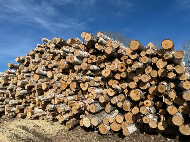 Looking for firewood log loads