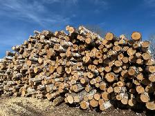 Looking for firewood log loads