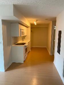 Stunning 1 BDRM w/Balcony, Parking, & Storage - DowntownToronto - Photo 3
