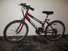 26'/24' Bikes - Photo 3