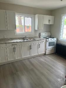 Newly Renovated 2-Bedroom Unit for Rent – St. Boniface - Photo 3