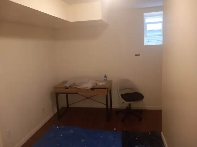 Painter & Repairs