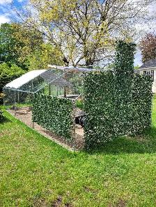 enclos à poules - Photo 3