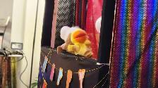 Birthday Event Puppet Shows for Kids Party - Photo 4