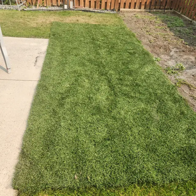 TURF -ARTIFICIAL