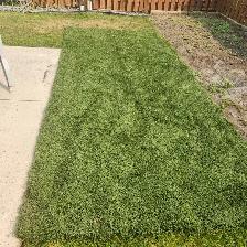 TURF -ARTIFICIAL