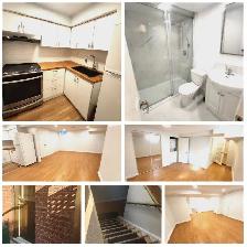 One Bedroom Basement Apartment Yonge and Bernard