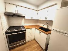 One Bedroom Basement Apartment Yonge and Bernard - Photo 3