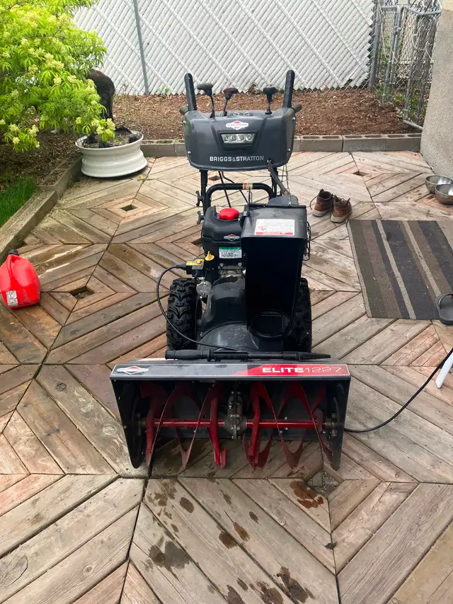 Snowblower must go !