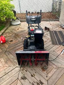 Snowblower must go !