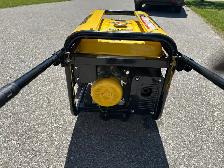 Champion Generator - Photo 5