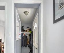 4Bed/ 2 Bath detached house from vicinity Ambassador plaza $2250 - Photo 3