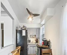 4Bed/ 2 Bath detached house from vicinity Ambassador plaza $2250 - Photo 4