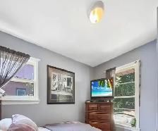 4Bed/ 2 Bath detached house from vicinity Ambassador plaza $2250 - Photo 7