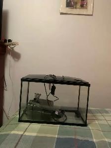 Aquarium 5 gallon à vendre - Photo 2