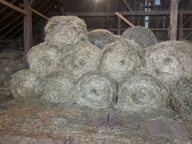 hay for sale