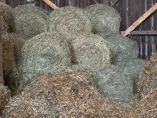 hay for sale - Photo 2