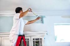 Experienced painter