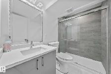 Private 1 bedroom basement Available Immediately
