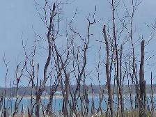 80 Acres, Lakefront close to Winnipeg - Photo 3