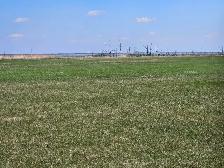 80 Acres, Lakefront close to Winnipeg - Photo 4