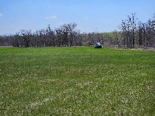 80 Acres, Lakefront close to Winnipeg - Photo 5