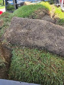 fresh sod rolls 360 sq ft. $2 per roll