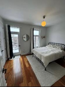 4 1/2 Apartment for Rent in Rosemont - Photo 4