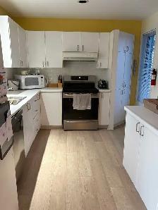 Grand 4 1/2 à louer Terrebonne - Photo 6