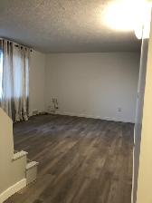Renovated Parkdale Home –5 Minutes to FMC– Available Immediately - Photo 5